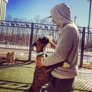 Meet your Posher, Will